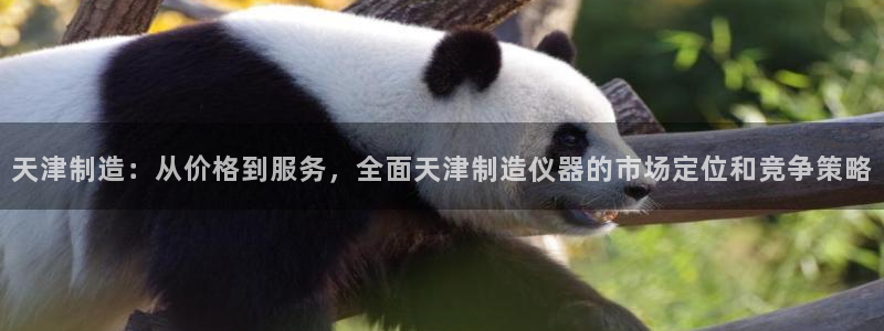 门徒娱乐平台怎么样：天津制造：从价格到服务，全面天津制造仪器