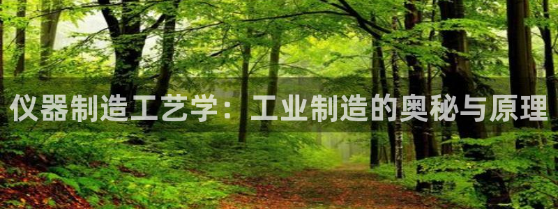 门徒娱乐赞7O777：仪器制造工艺学：工业制造的奥秘与原理