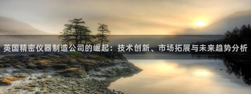 门徒娱乐盈利模式分析：英国精密仪器制造公司的崛起：技术创新、