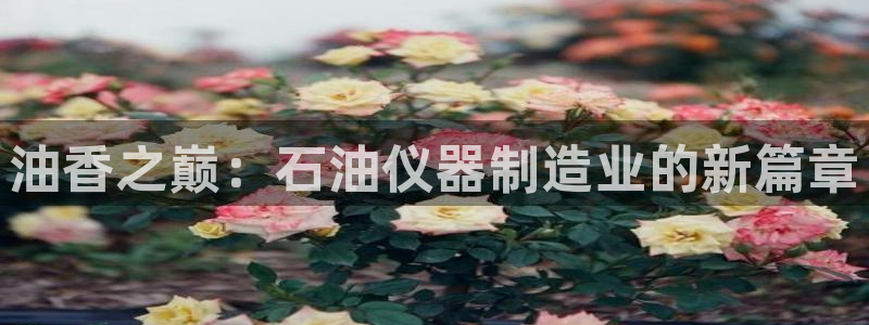 门徒娱乐开户：油香之巅：石油仪器制造业的新篇章