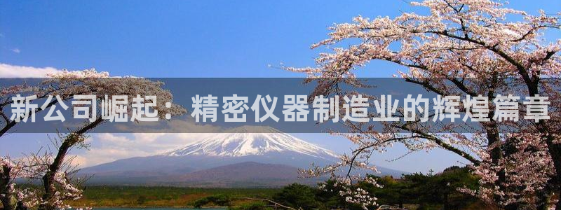 门徒娱乐主管月3299O7：新公司崛起：精密仪器制造业的辉煌
