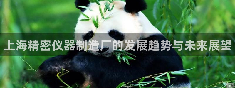 门徒娱乐山六七五一38：上海精密仪器制造厂的发展趋势与未来展