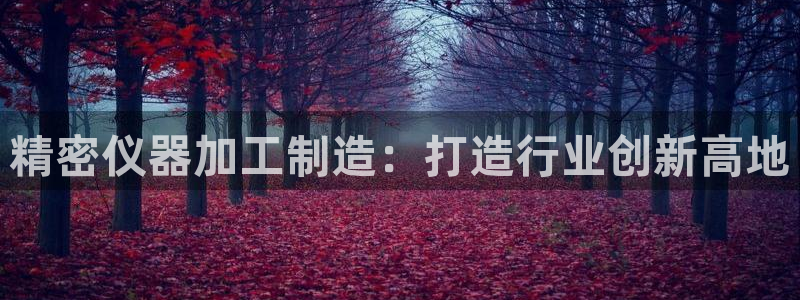 门徒娱乐右：精密仪器加工制造：打造行业创新高地