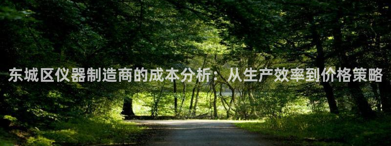 门徒娱乐系列小说推荐：东城区仪器制造商的成本分析：从生产效率