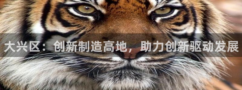门徒娱乐怎么挂机的视频：大兴区：创新制造高地，助力创新驱动发