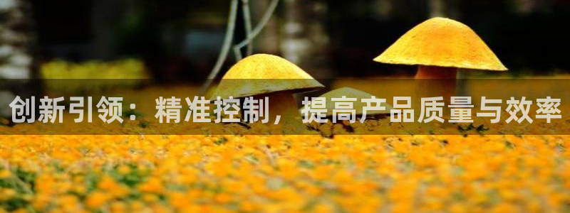 门徒娱乐平台代理合法吗：创新引领：精准控制，提高产品质量与效